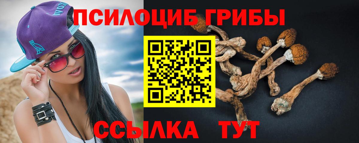 Псилоцибиновые грибы MAGIC MUSHROOMS Партизанск