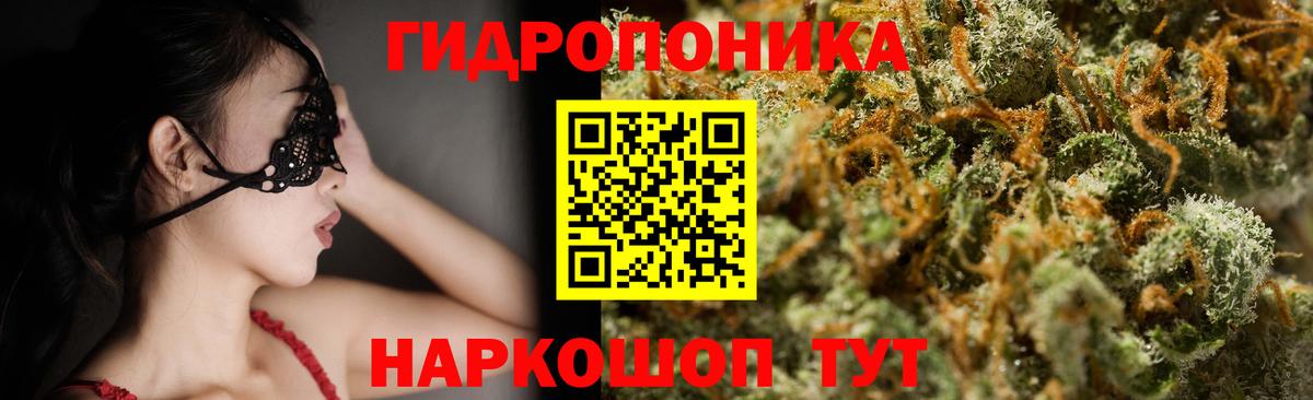 МАРИХУАНА тримм  Вход с VPN  Партизанск  Каннабис план  Канабис конопля 